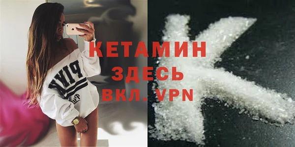 гидра Богданович