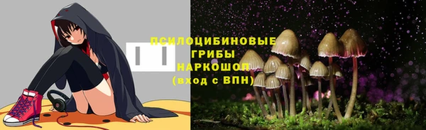 гидра Богданович