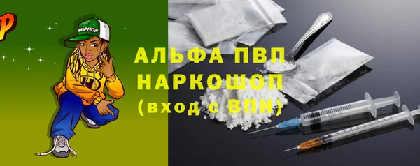 гашик Нефтекумск