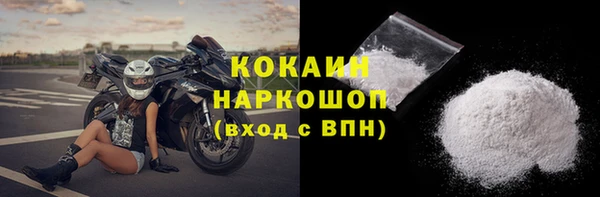 гидра Богданович