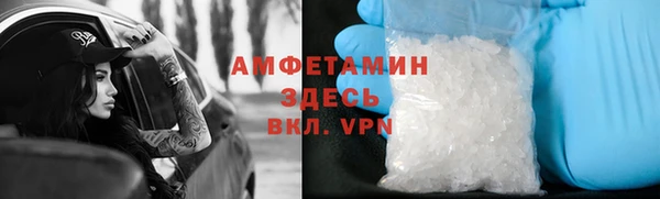 гидра Богданович