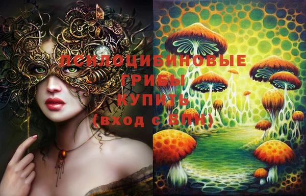 гидра Богданович