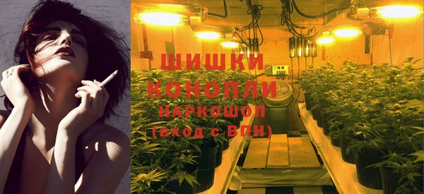 гидра Богданович