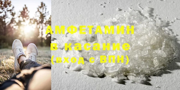 гидра Богданович