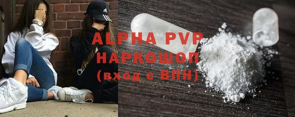 гидра Богданович