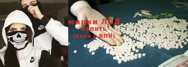 гидра Богданович