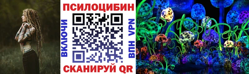 как найти закладки  Костомукша  Псилоцибиновые грибы мицелий 